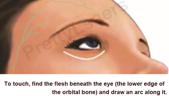 Infraorbital margin