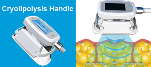 The frozen handle converts the triglyceride fat into a solid by cooling techniques (fat freezing). Premature aging and death of fat cells. The fat layer has been reduced by normal metabolism, partially melted fat for the purpose.