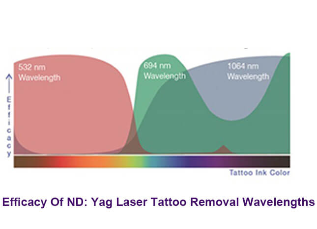 Efficacy Of ND: Yag Laser Tattoo Removal Wavelengths