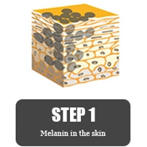 Melanin In The Skin