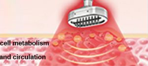 Bio photoelectric