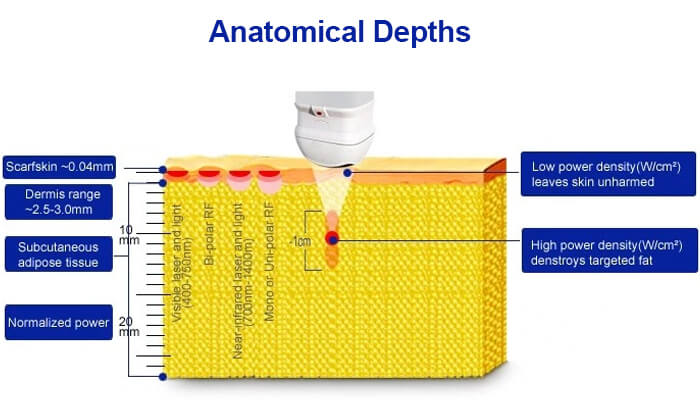 Anatomical Depths