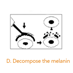 Decompose the melanin