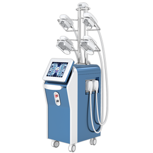 5 Handles Professional Cryolipolysis Slimming Machine PL-CT80