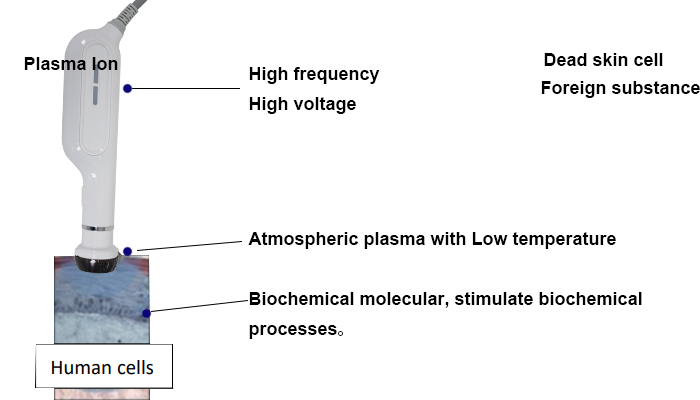 Principle of plasma