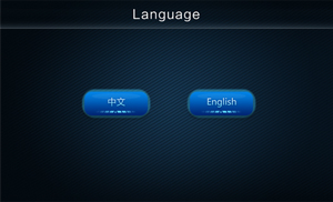 Choose a language