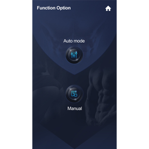 Function Option