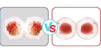 Tissue Repair