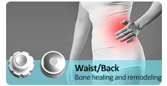 Waist/Back