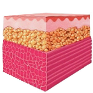 This will significantly improve your appearance due to building muscles and burning fat.